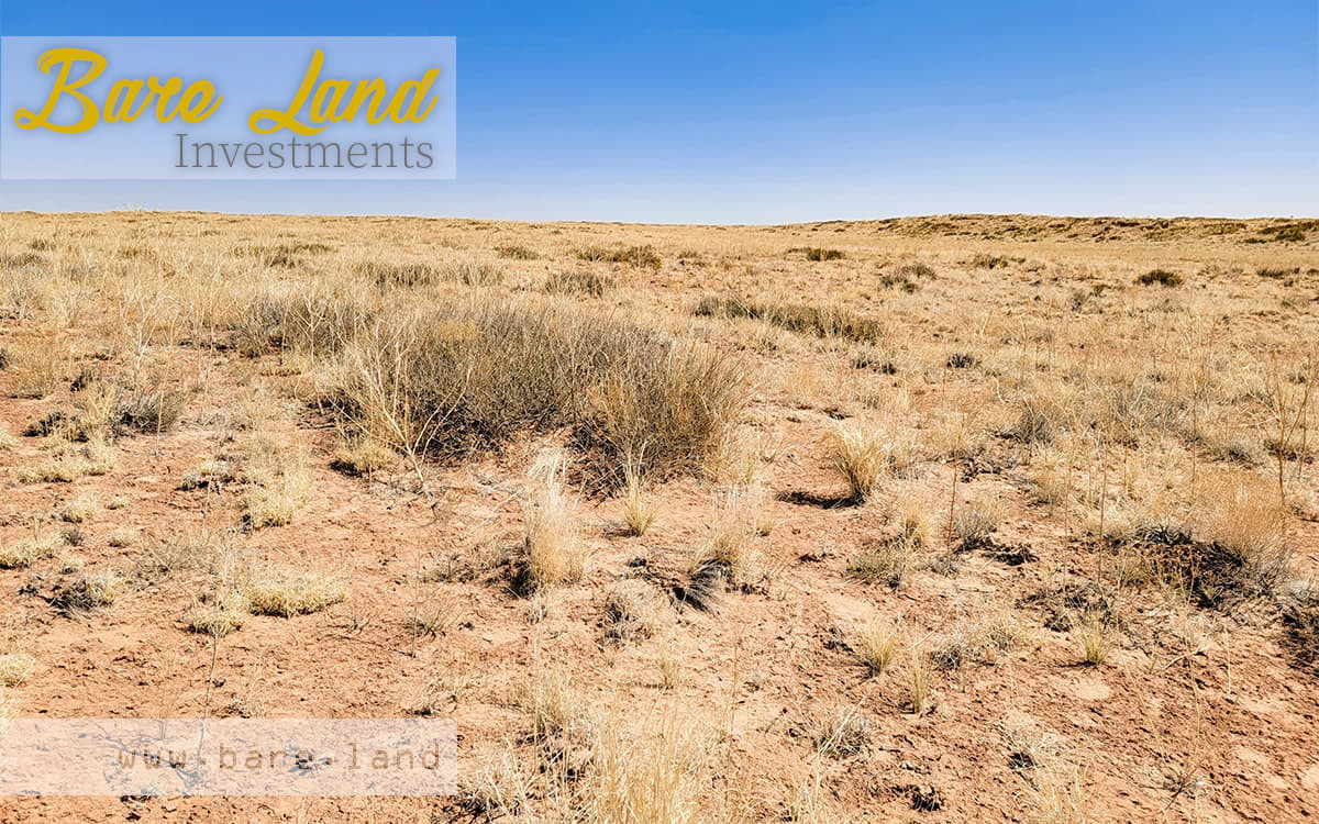Navajo AZ – 1.33 acres